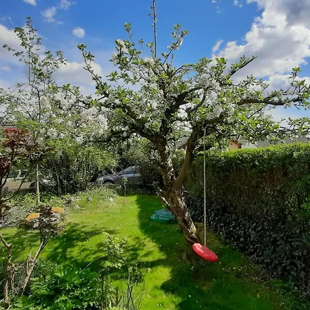 Apartament Purwins *